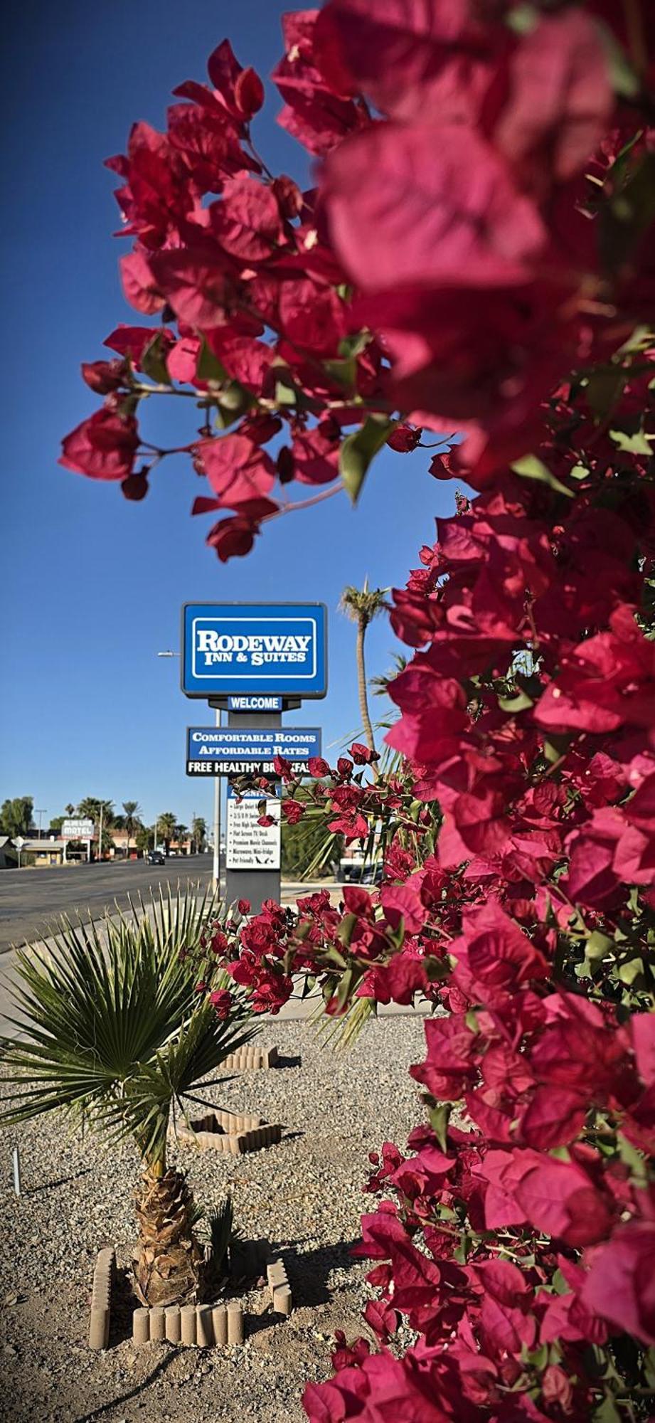 Rodeway Inn & Suites Blythe I-10 Exterior foto